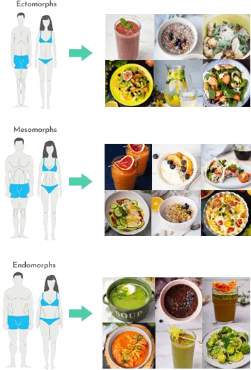 Body Type and Recipes