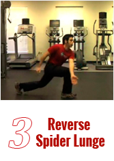 Reverse Spider Lunge